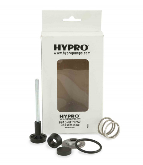 Hypro 9910-KIT 1757 Regulator Repair Kit