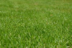 Preparing Your Lawn Care Business For A New Year